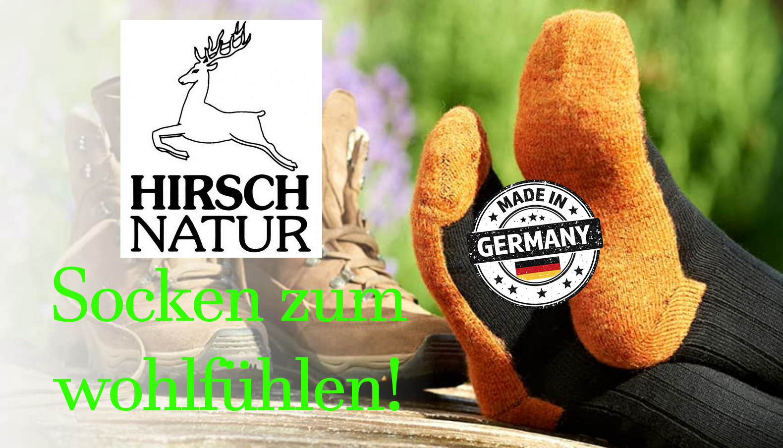 Hirsch Natur Banner