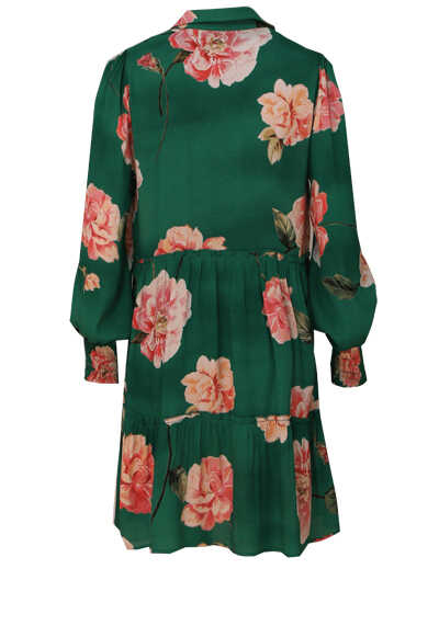 REPLAY Kleid Langarm V-Ausschnitt mit Hemdenkragen Muster grn