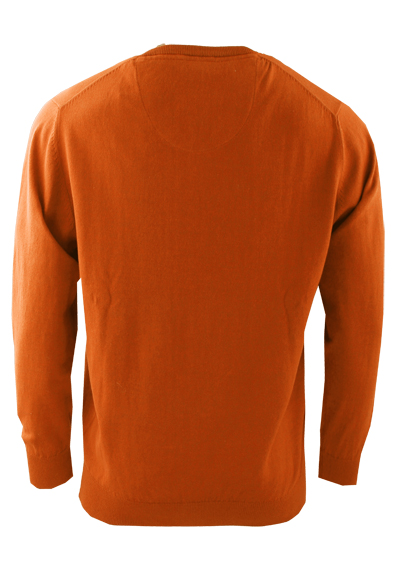 REDMOND Comfort Fit Langarm V-Ausschnitt orange
