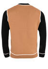 Produktbild fr 'BOSS Pullover FELTRO Langarm Rundhals Strick Schurwollmix camel'