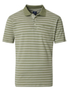 Produktbild fr 'REDMOND Comfort Fit Polo Halbarm Polokragen Ringel grn'